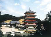 蓮華院誕生寺奥の院